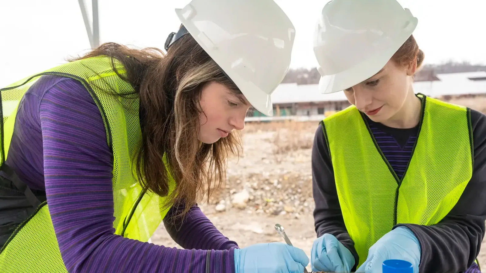 An interdisciplinary team of researchers are studying microbes that can break down hazardous pollutants at brownfield sites.